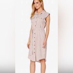 Bishop & Young button down shift dress size extra small 
Brown and white stripe